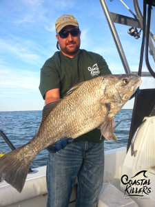 A black drum south of Saxis Virginia