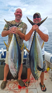 Pair of Yellowfin