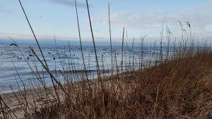 The kind of skyline most people on the Eastern Shore prefer