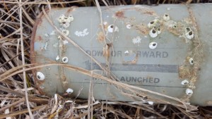 an ordinance on Chincoteague