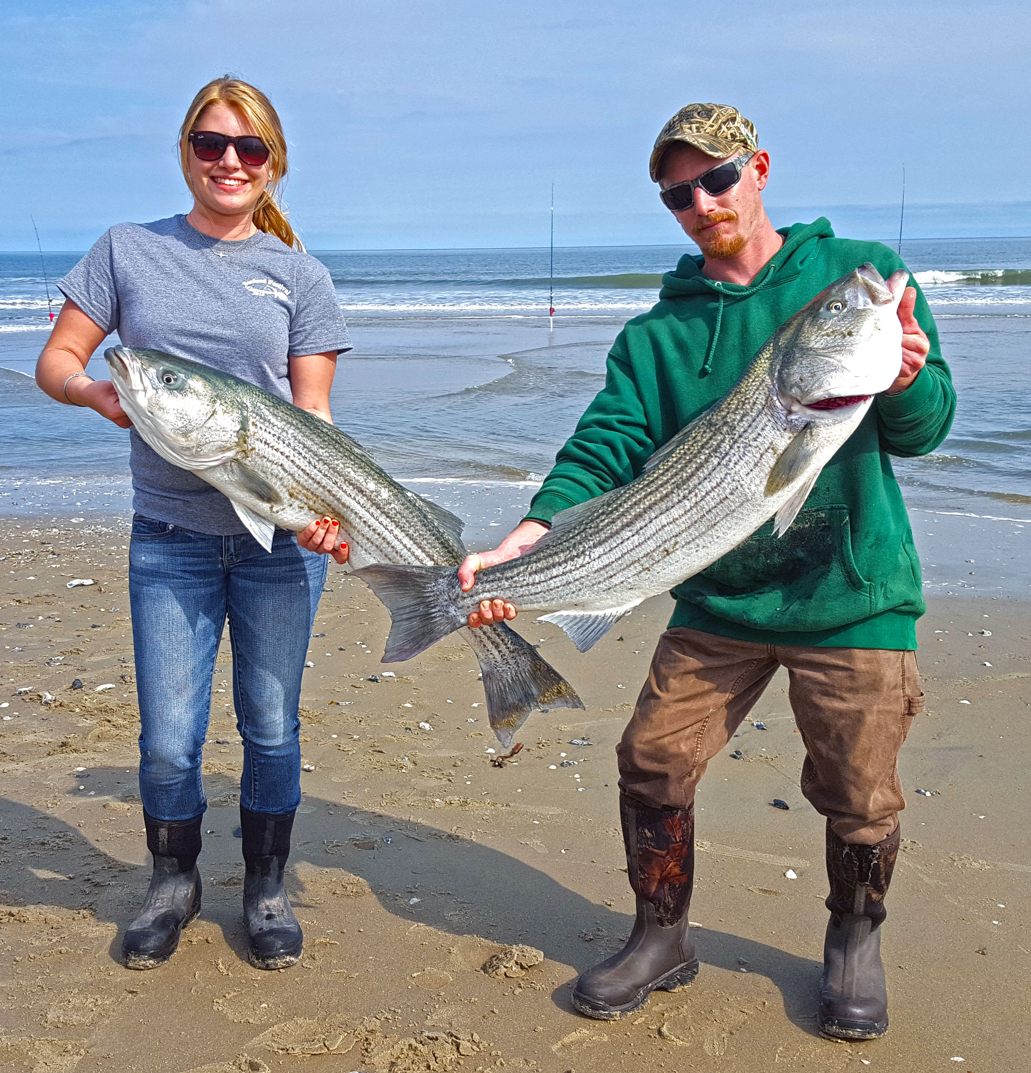 Coastal Killers  Surf fishing wrap-up, new fisheries data and a look  towards summer.