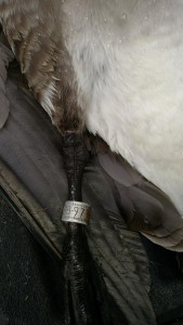 IMG_20160127_145720850