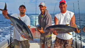 Some yellowfin after a successful trip to the canyon