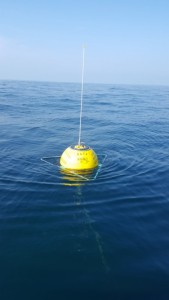 2016-07-27-17-27-58-1280x768